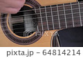 ガットギター演奏 64814214