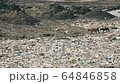 Multilayer garbage problem concept.  Animals looking for food in a city dump in slow motion. 64846858