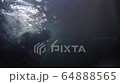 MILITARY DIVER Right Side 64888565