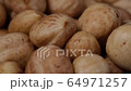 Close-up rotating hazelnuts, nut. Concept healthy and vegetarian 64971257