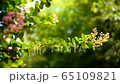 One hundred nineteen 65109821