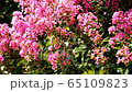 Crimson 20 65109823