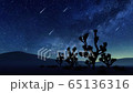 Desert Joshua trees and falling stars in night sky 65136316