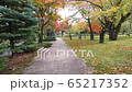 Walk in Sapporo Nakajima Park (handheld, silent) 65217352