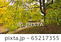 Walk in Sapporo Nakajima Park (handheld, silent) 65217355