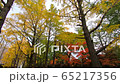Walk in Sapporo Nakajima Park (handheld, silent) 65217356