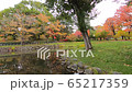 A walk in Sapporo Nakajima Park, Iris Pond (handheld, silent) 65217359