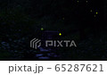 ホタル乱舞2020-2 65287621