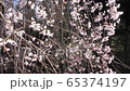 Cherry blossoms in full bloom Satoyama 4K spring 65374197