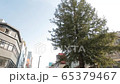 広島市並木通りチルト（コロナ） 65379467