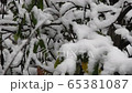 Stunning winter scenery. Snowing over the forest in the holiday season 65381087
