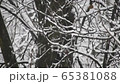 Stunning winter scenery. Snowing over the forest in the holiday season 65381088