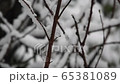 Stunning winter scenery. Snowing over the forest in the holiday season 65381089