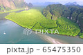wonderful view mangroves forest wilderness 65475350