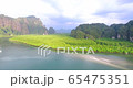 wonderful view mangroves forest wilderness 65475351