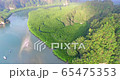 wonderful view mangroves forest wilderness 65475353