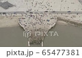 Aerial view of Commerce Square and the Sea 65477381