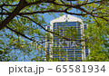 Kobe City Hall 65581934