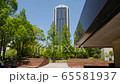 Kobe City Hall 65581937