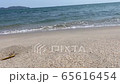 波打ち際　ローポジ水平固定で 65616454
