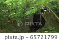 日本庭園の滝 65721799