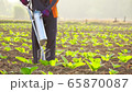 Asian farmer working in the field and giving fertilizer by digging tool into the soil for young tobacco tree	 Asian farmer working in the field and giving fertilizer by digging tool into the soil for young tobacco tree	 65870087