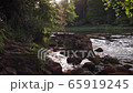 Picturesque 4K video of river cascades at evening with stone and may flies above water surface 65919245