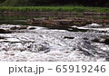 Picturesque 4K video of river cascades at evening with stone and may flies above water surface 65919246