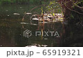 May and stone flies above water surface at evening 65919321