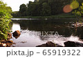 May and stone flies above water surface at evening 65919322