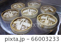 Dimsum or Dumplings steam inside the bamboo box in kitchen of Chinese restaurant close up.  66003233