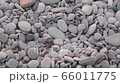 Path of little turtle to ocean. Natural instincts of marine animals. Baby turtle leaving nest and crawling to sea 66011775