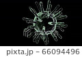 Coronavirus (COVID-19) medical animation on black background. 66094496