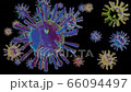 Coronavirus (COVID-19) medical animation on black background. 66094497