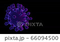 Coronavirus (COVID-19) medical animation on black background. 66094500