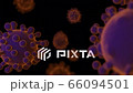 Coronavirus (COVID-19) medical animation on black background. 66094501