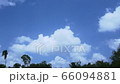 Slowly passing cloud with vivid blue sky  66094881
