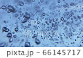 Small and big air bubbles in water rising in slow motion on blue background 66145717