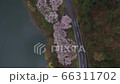 満開＿桜＿ダム湖＿秘境＿雨あがり＿熊本＿球磨郡水上村＿ドローン＿俯瞰＿フレーム29.97 66311702