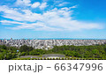 Stock Footage: Asahiyama Memorial Park Time lapse of spring sky 66347996