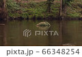 A Stick floating on a fast flowing river 66348254