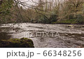 Nidderdale an Area of Outstanding Natural Beauty in North Yorkshire. A trail in the woods by the River Nidd 66348256