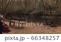 A young woman sitting beside a river in the woods.  An attractive young lady sitting on a wooden bench in the middle of the woods overlooking a river 66348257