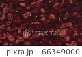 Kinki beans soaked in water 66349000