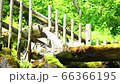 Stock Footage: sightseeing spots in Hokkaido Kyogokucho Fukidashi Park Landscape with underground water flowing from Mt. Yotei 66366195