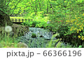 Stock Footage: sightseeing spots in Hokkaido Kyogokucho Fukidashi Park Landscape with underground water flowing from Mt. Yotei 66366196