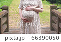 お腹を撫でる妊婦さん　お母さん　森林の動画素材
