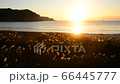 Yumigahama-6135291的日出 66445777