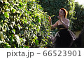 A beautiful girl with white skin and red hair in the garden on a Sunny day A beautiful girl with white skin and red hair in the garden on a Sunny day 66523901