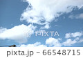 吊り橋2 66548715